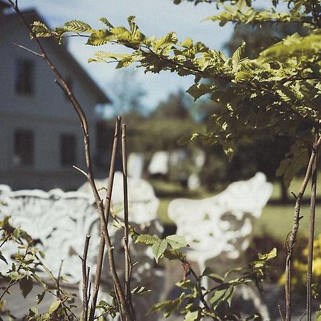 Folk Och Fae Hotel Grisslehamn Ngoại thất bức ảnh