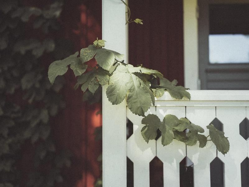 Folk Och Fae Hotel Grisslehamn Ngoại thất bức ảnh