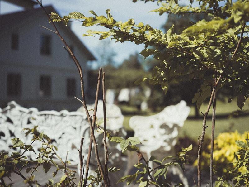 Folk Och Fae Hotel Grisslehamn Ngoại thất bức ảnh